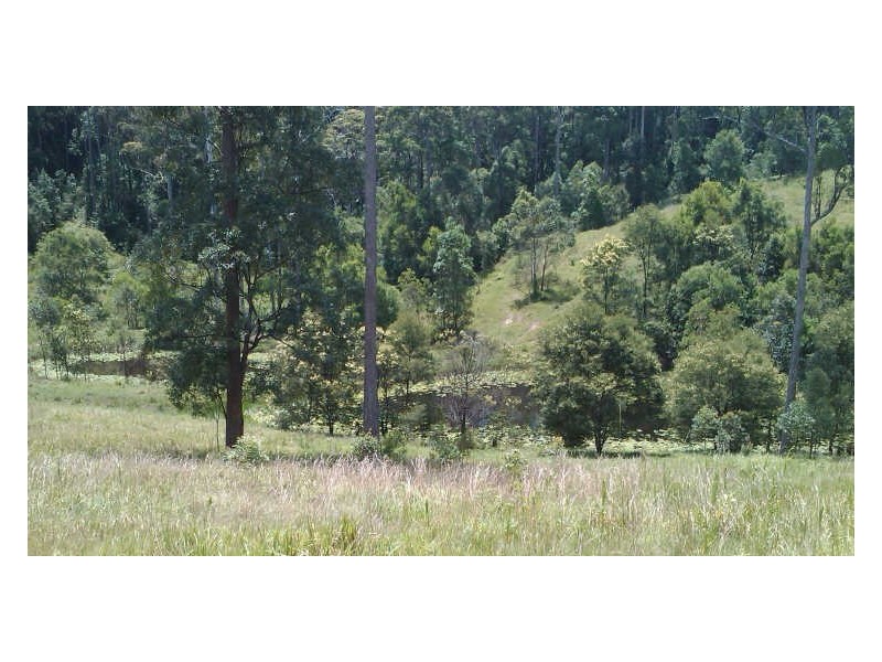 Lot 4 Gordons Knob Road, Newee Creek NSW 2447