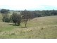Lot 4 Gordons Knob Road, Newee Creek NSW 2447