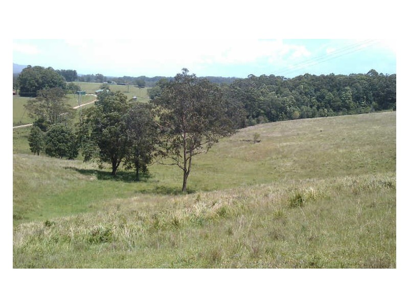 Lot 4 Gordons Knob Road, Newee Creek NSW 2447