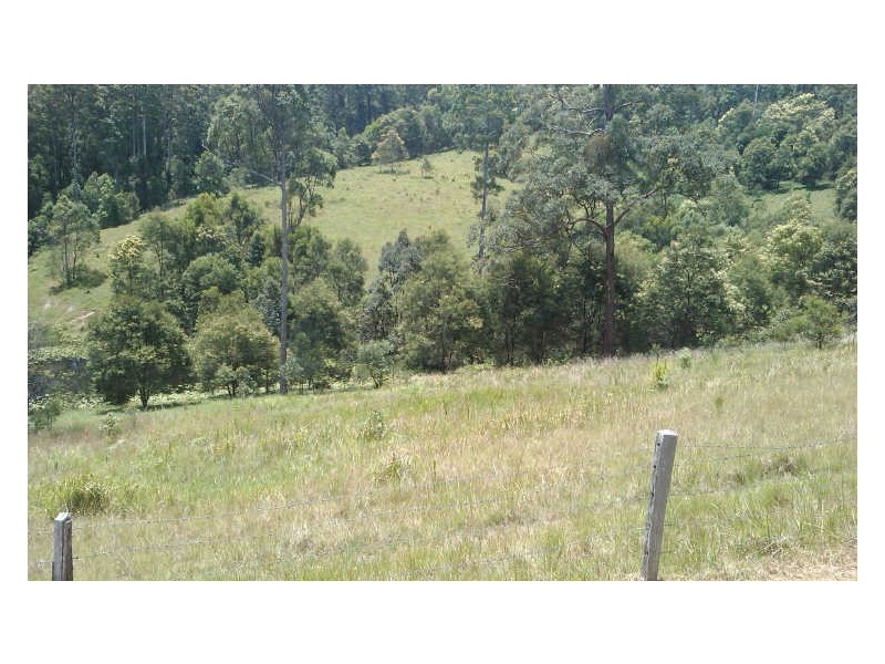 Lot 4 Gordons Knob Road, Newee Creek NSW 2447