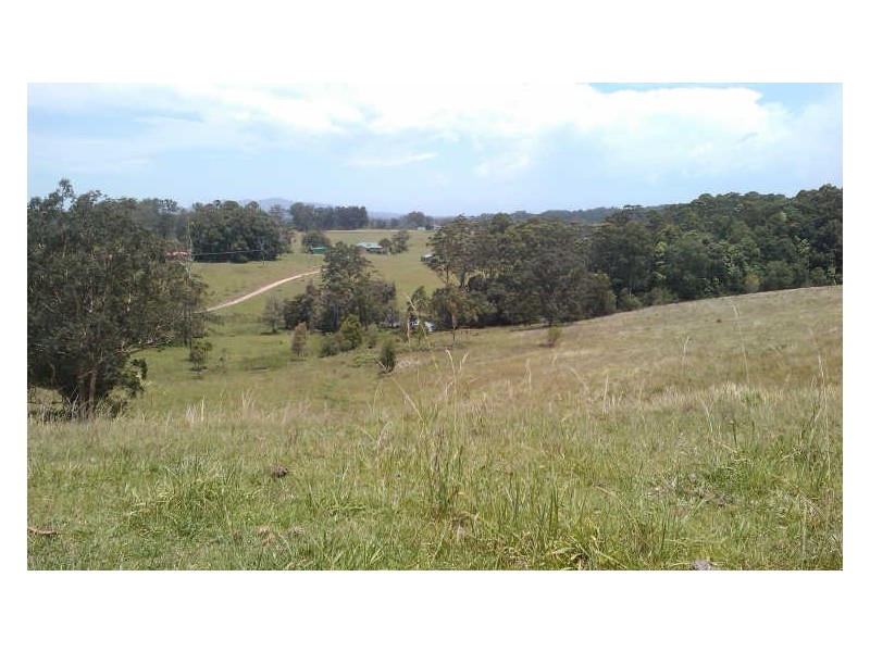 Lot 4 Gordons Knob Road, Newee Creek NSW 2447