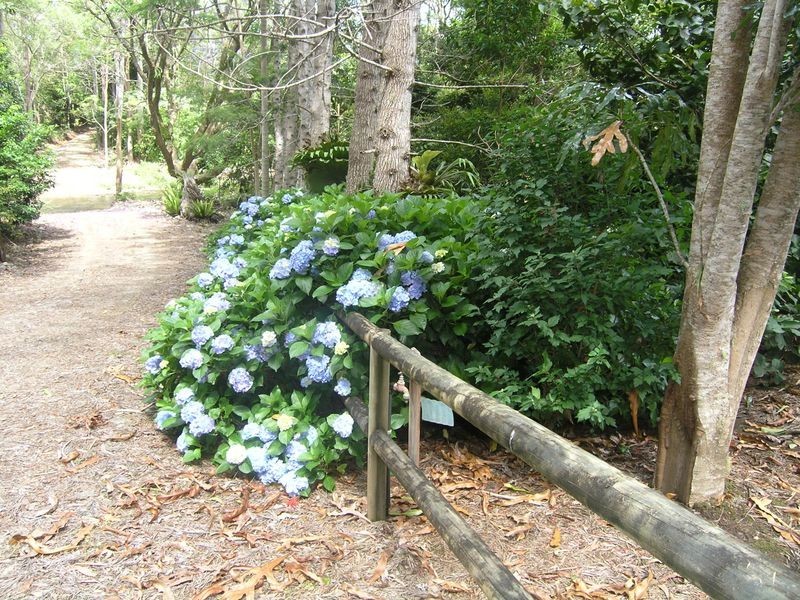 100A Moodys Road Crossmaglen, Coffs Harbour NSW 2450
