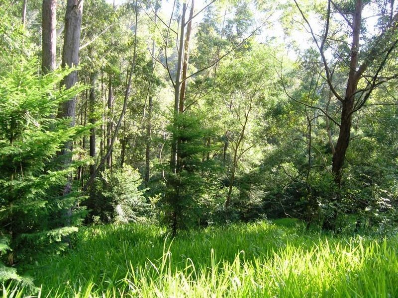 100A Moodys Road Crossmaglen, Coffs Harbour NSW 2450