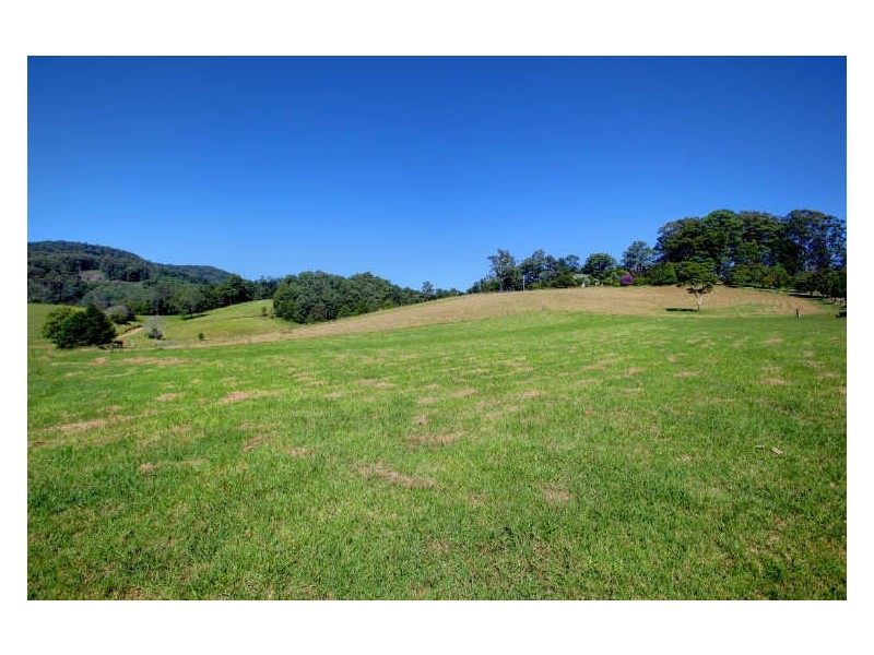 164 Fridays Creek Road, Coffs Harbour NSW 2450