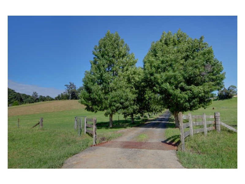 164 Fridays Creek Road, Coffs Harbour NSW 2450