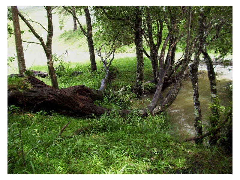 164 Fridays Creek Road, Coffs Harbour NSW 2450