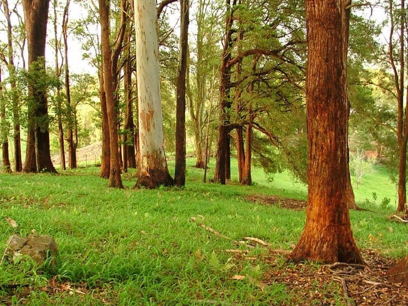 164 Fridays Creek Road, Coffs Harbour NSW 2450