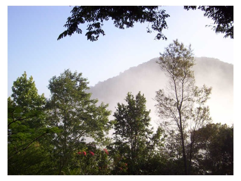 164 Fridays Creek Road, Coffs Harbour NSW 2450