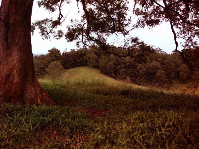 164 Fridays Creek Road, Coffs Harbour NSW 2450