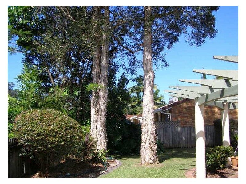 245 Linden Avenue, Boambee East NSW 2452