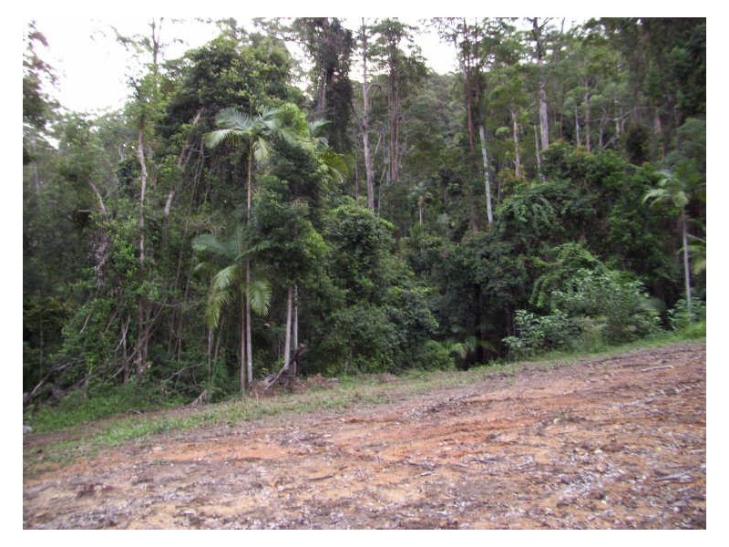 Lot 322 Walters Road, Karangi NSW 2450