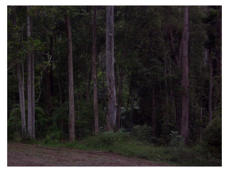 Lot 322 Walters Road, Karangi NSW 2450