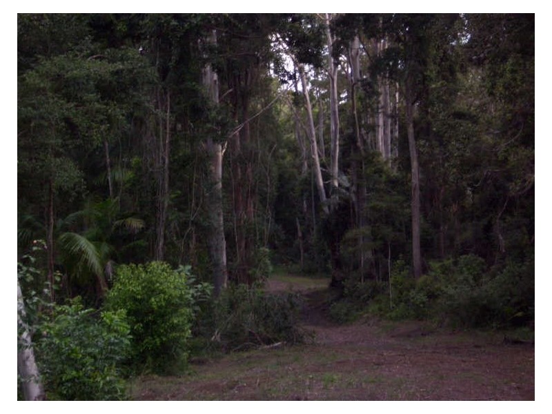 Lot 322 Walters Road, Karangi NSW 2450
