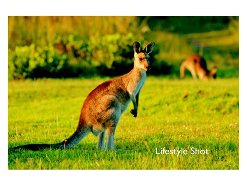 Lot 17 Emerald Beach Estate, Emerald Beach NSW 2456