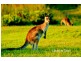 Lot 11 Emerald Beach Estate, Emerald Beach NSW 2456