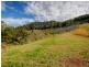 65 Rippingale Road Korora, Coffs Harbour NSW 2450
