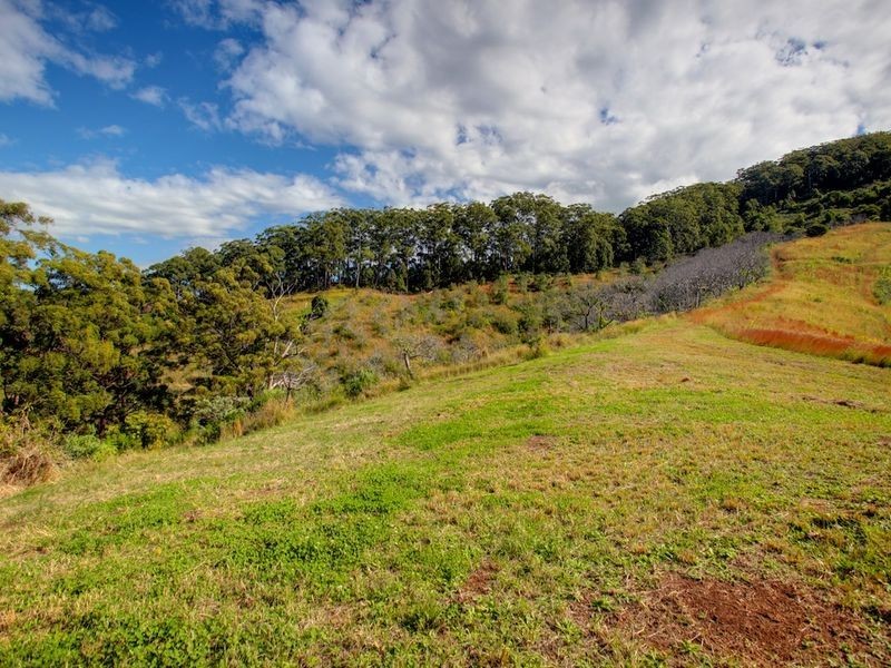 65 Rippingale Road Korora, Coffs Harbour NSW 2450