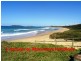 25 San Francisco Avenue, Coffs Harbour NSW 2450