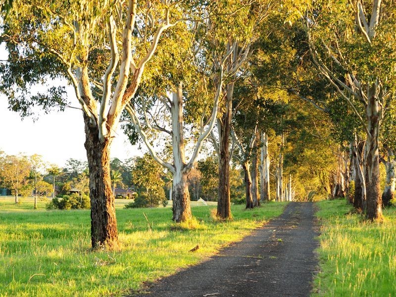 145 Crossmaglen Road Crossmaglen, Coffs Harbour NSW 2450