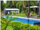 88 Gleniffer Rd, Bellingen NSW 2454