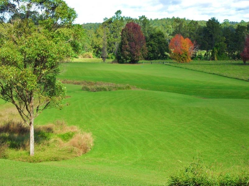 88 Gleniffer Rd, Bellingen NSW 2454