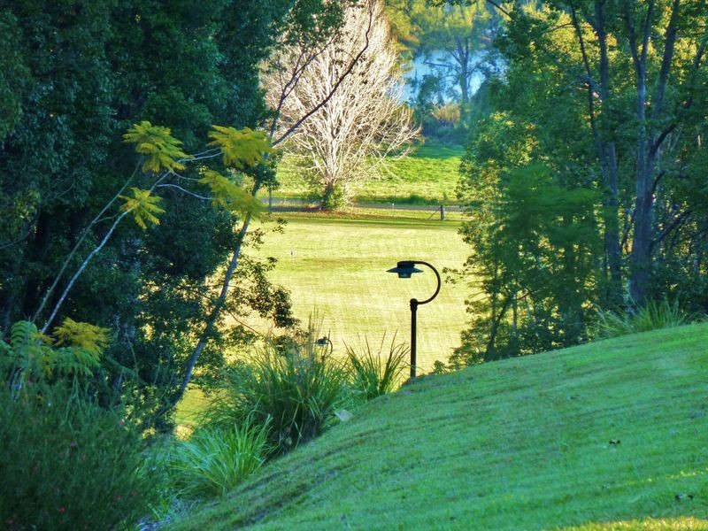 88 Gleniffer Rd, Bellingen NSW 2454