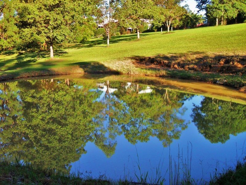 88 Gleniffer Rd, Bellingen NSW 2454