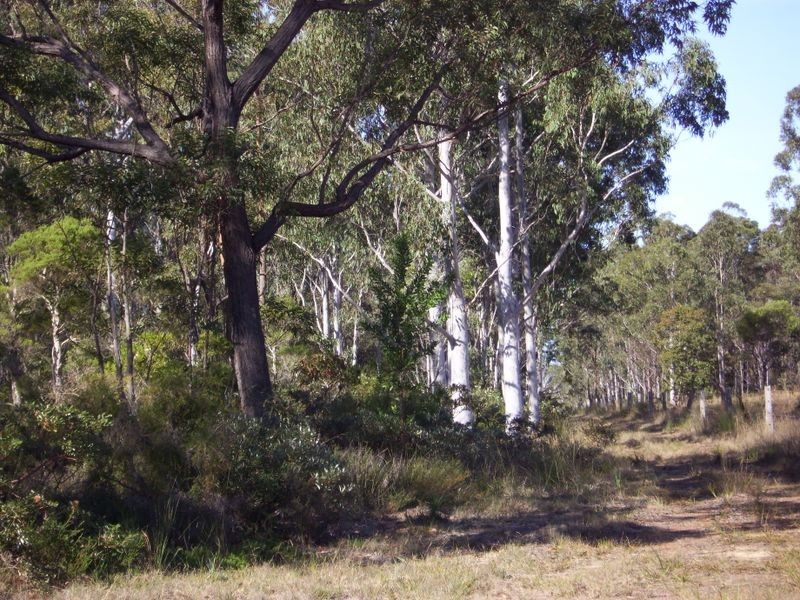 4925 Pacific Highway Halfway Creek, Coffs Harbour NSW 2450