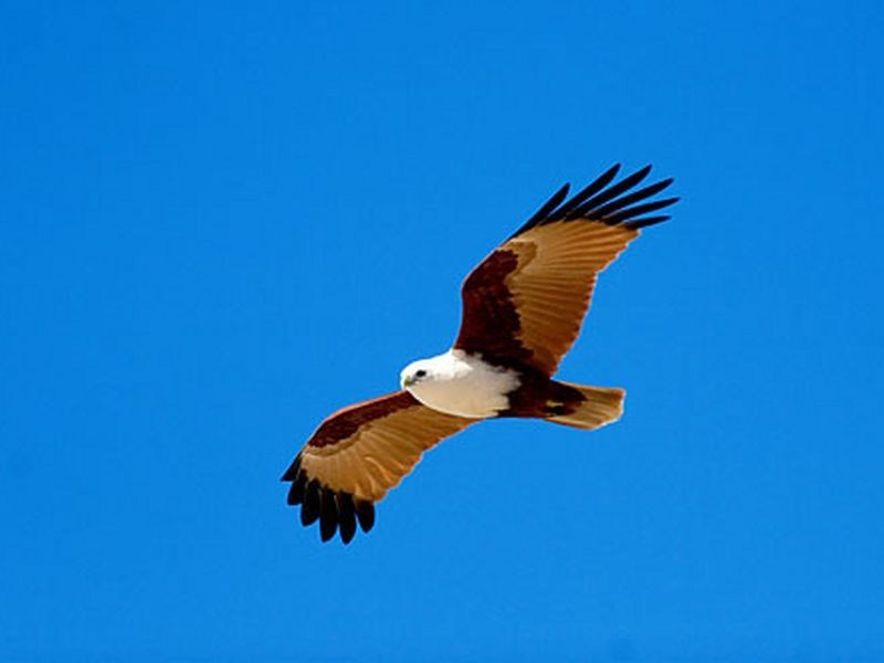 Coffs Harbour NSW 2450