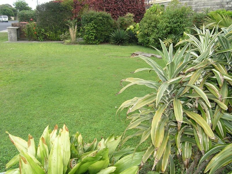 2/21 York Street, Coffs Harbour NSW 2450