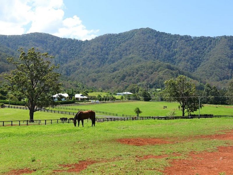 279 Crossmaglen Road Crossmaglen, Coffs Harbour NSW 2450