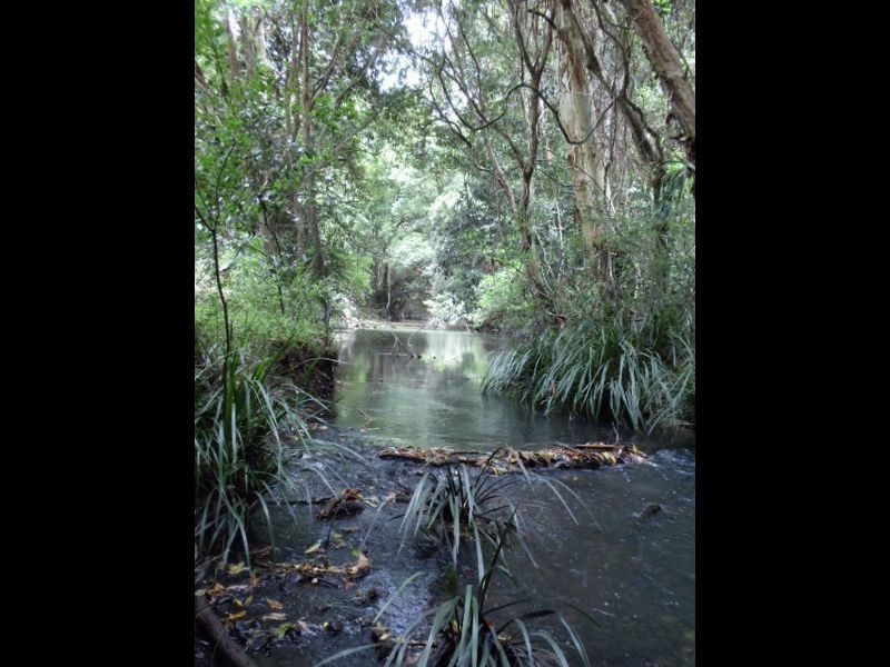 1395 Orara Way, Nana Glen NSW 2450