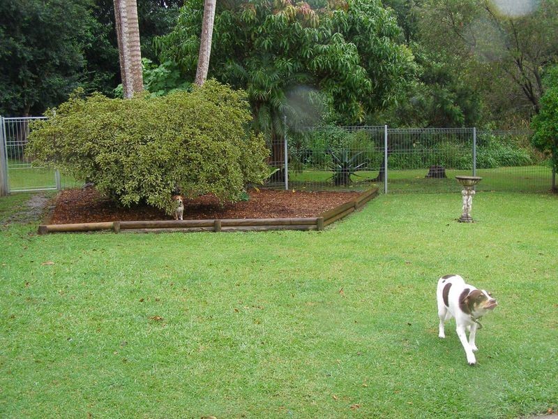 89 Vera Drive, Coffs Harbour NSW 2450