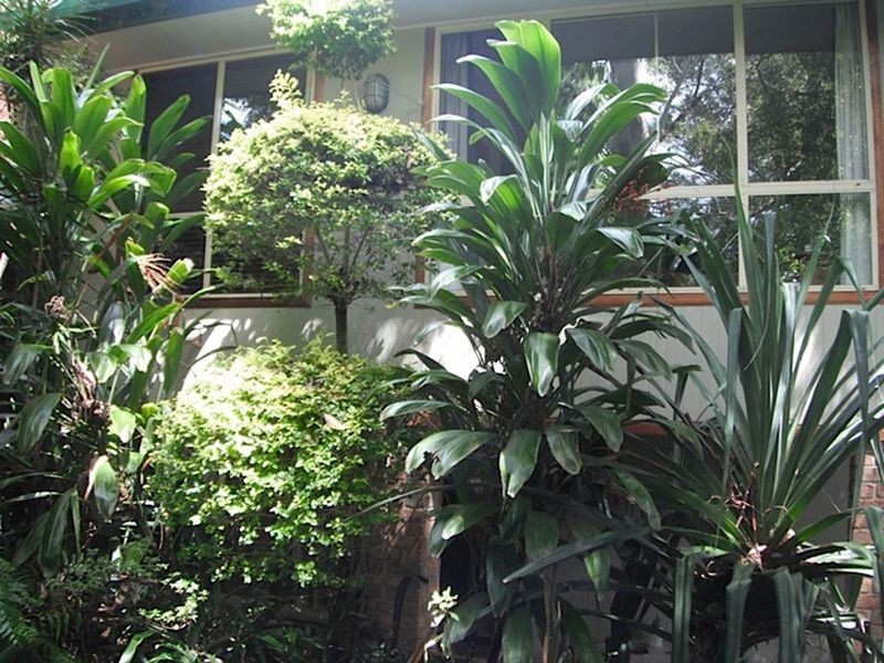 49 Vera Drive, Coffs Harbour NSW 2450