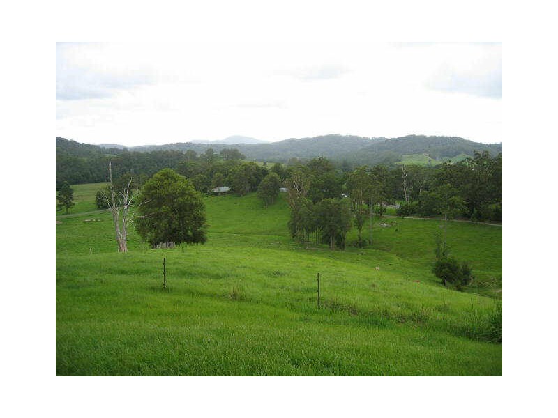 299B South Island Loop Road, Upper Orara NSW 2450