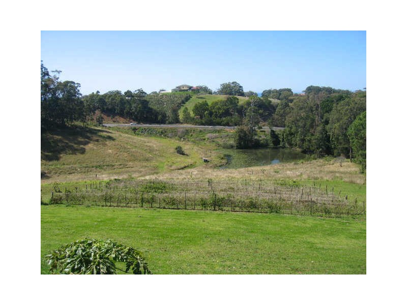 84 Bruxner Park Road, Coffs Harbour NSW 2450