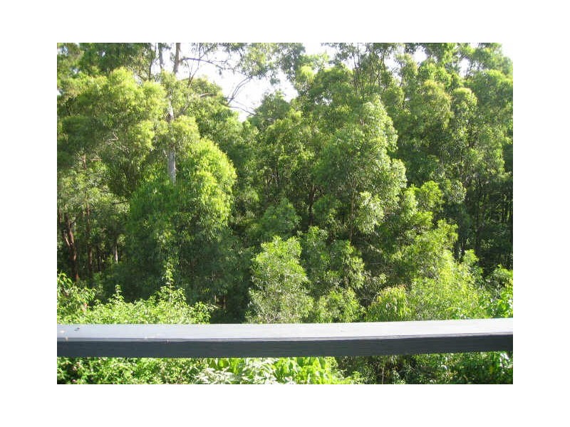 231 Barkhut Road, Woolgoolga NSW 2456