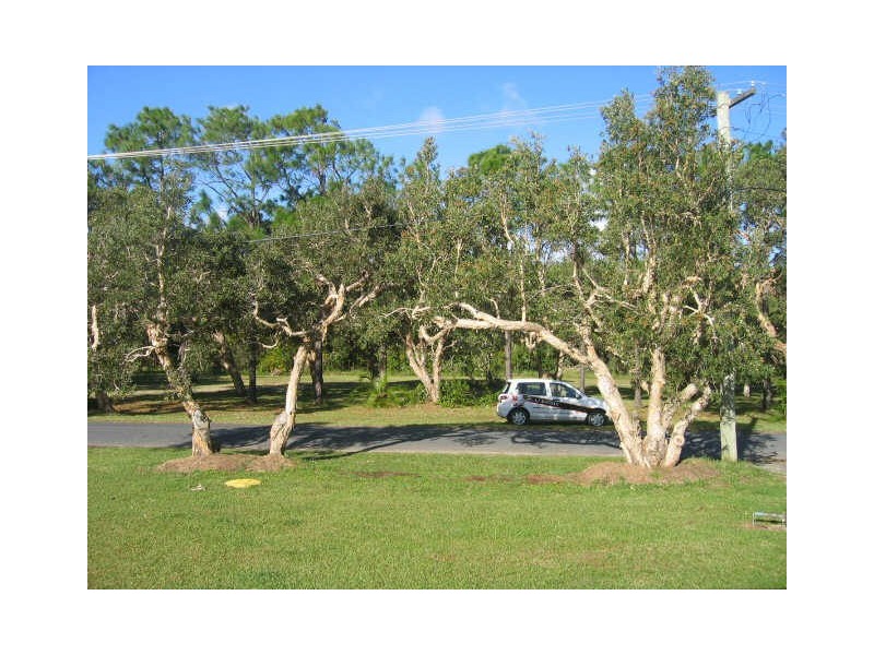 39 The Boulevarde, Coffs Harbour NSW 2450