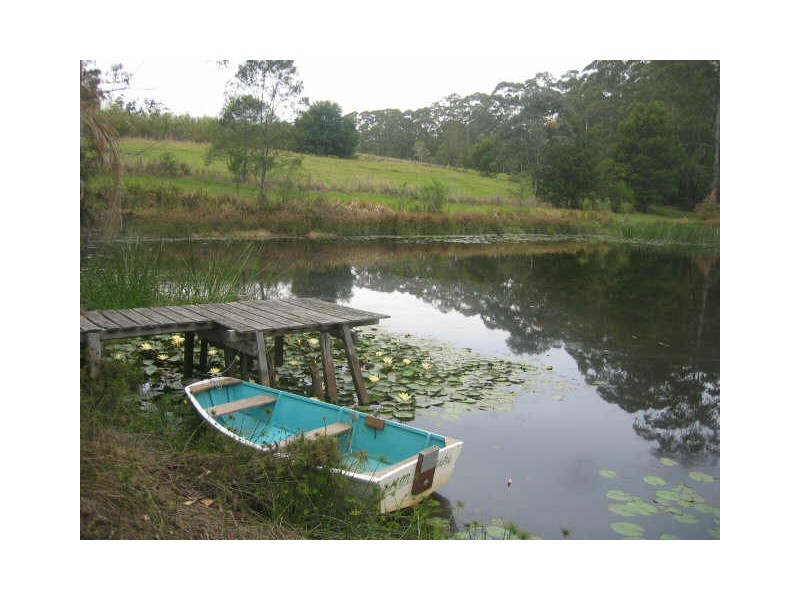 416 BUCCA ROAD, Coffs Harbour NSW 2450