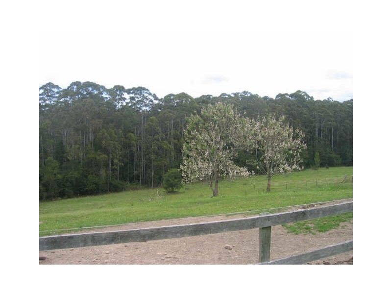 416 BUCCA ROAD, Coffs Harbour NSW 2450