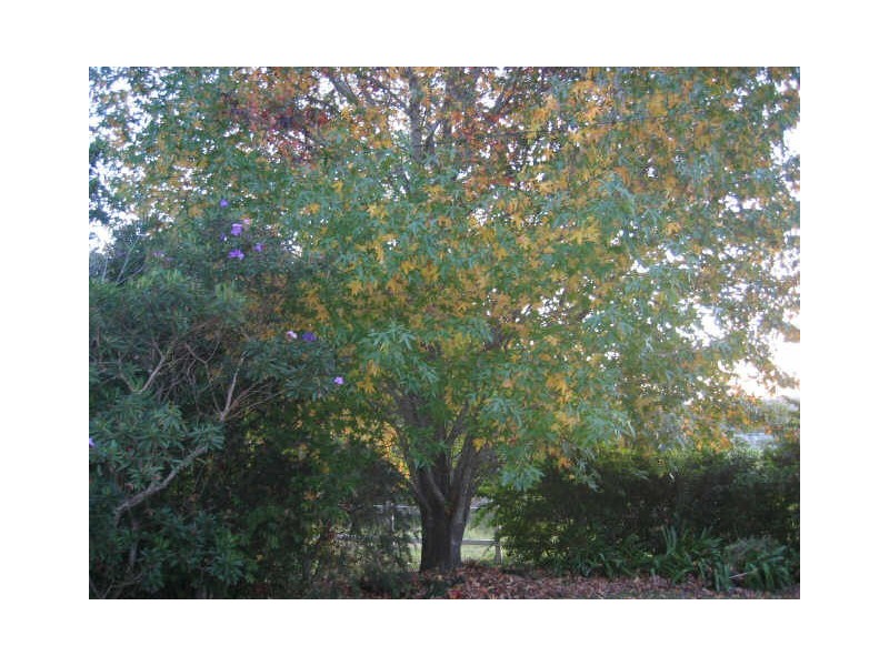 15 Park Avenue, Woolgoolga NSW 2456