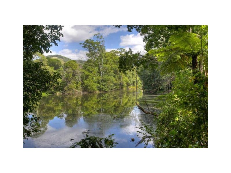 20 Norman Hill Drive, Coffs Harbour NSW 2450