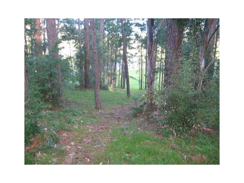 18a The Mountain Way, Sapphire Beach NSW 2450