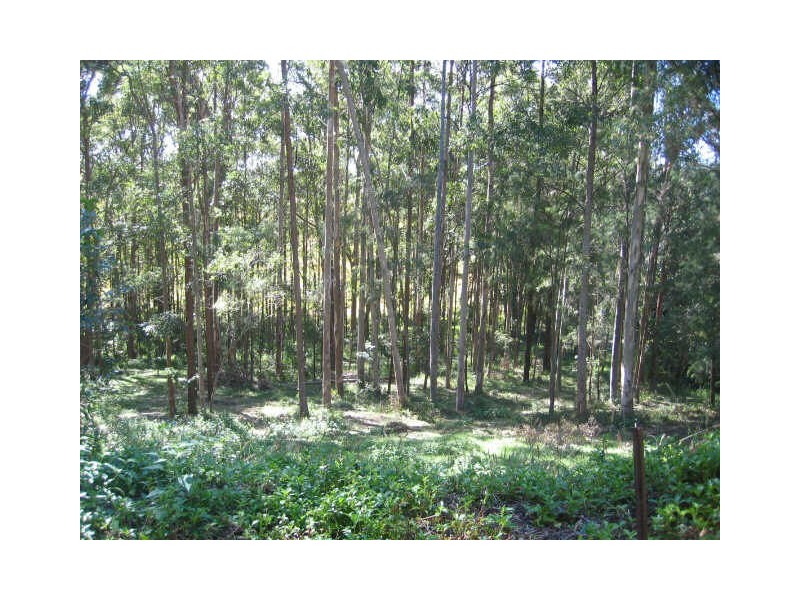 210 Barkhut Road, Woolgoolga NSW 2456