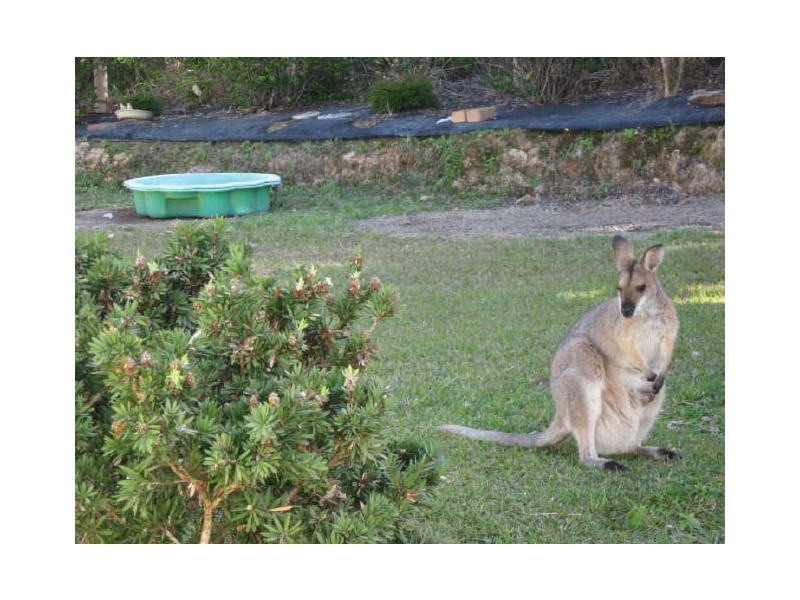 147 Smiths Road, Emerald Beach NSW 2456