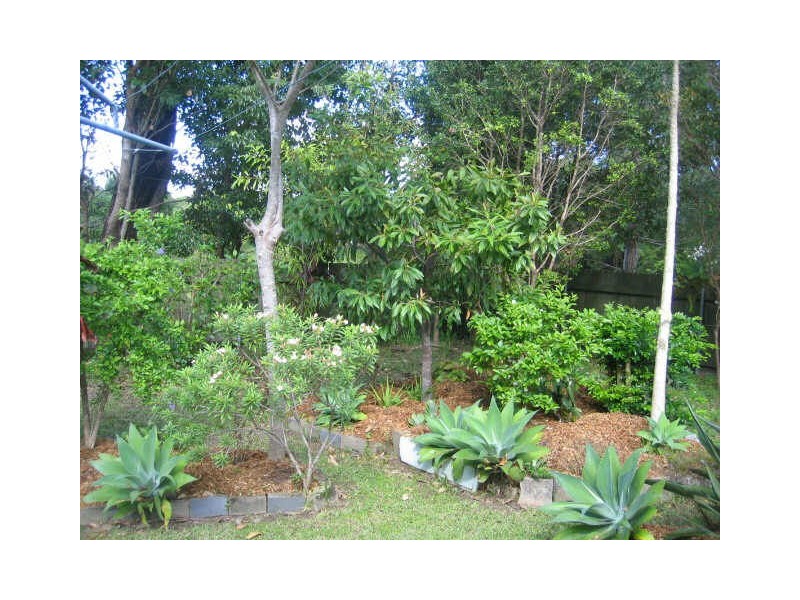11 Maple Street, Coffs Harbour NSW 2450