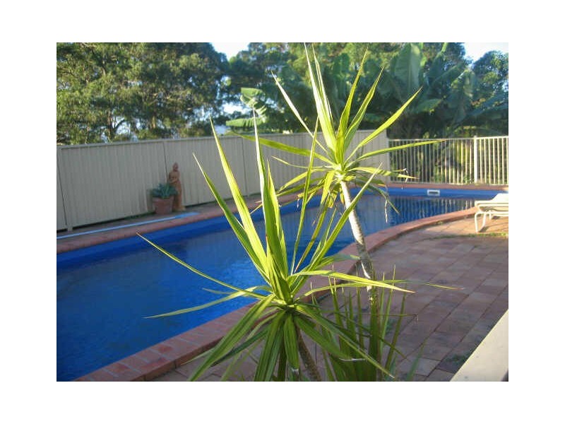 42 Coldwater Creek Road, Nana Glen NSW 2450