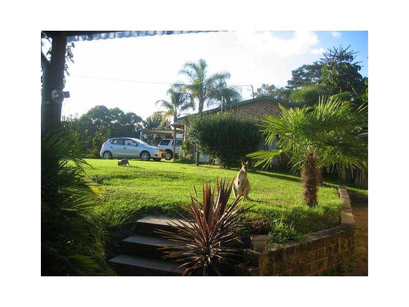 42 Coldwater Creek Road, Nana Glen NSW 2450