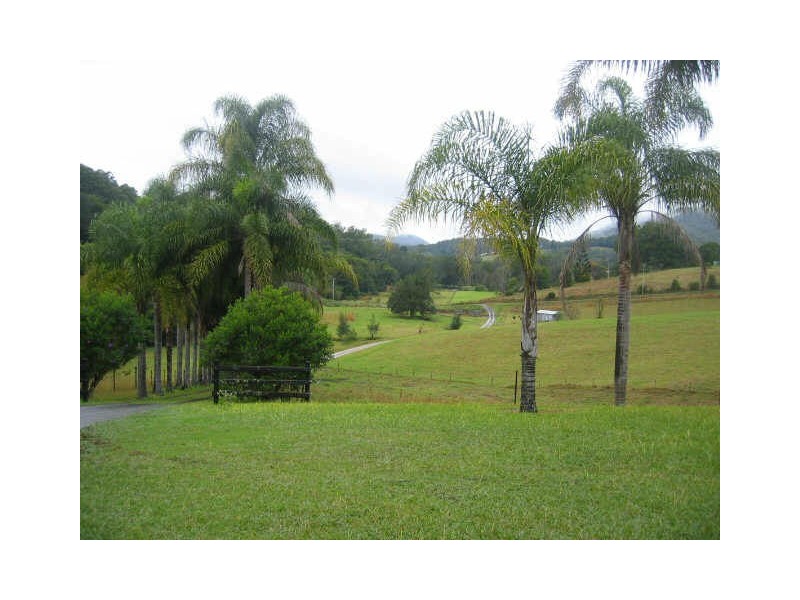 40B Walters Road, Karangi NSW 2450