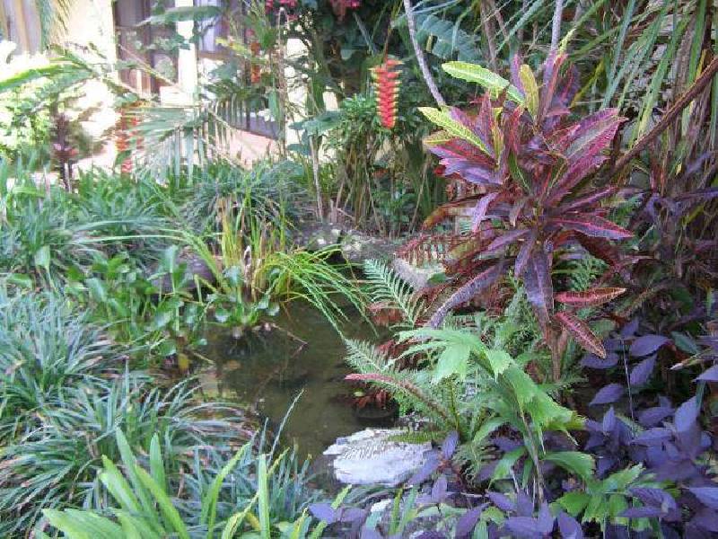 19 Cunningham Crescent, Sawtell NSW 2452